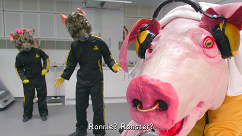 Thumbnail for RATLab Warm-up - showing Ronnie the pig